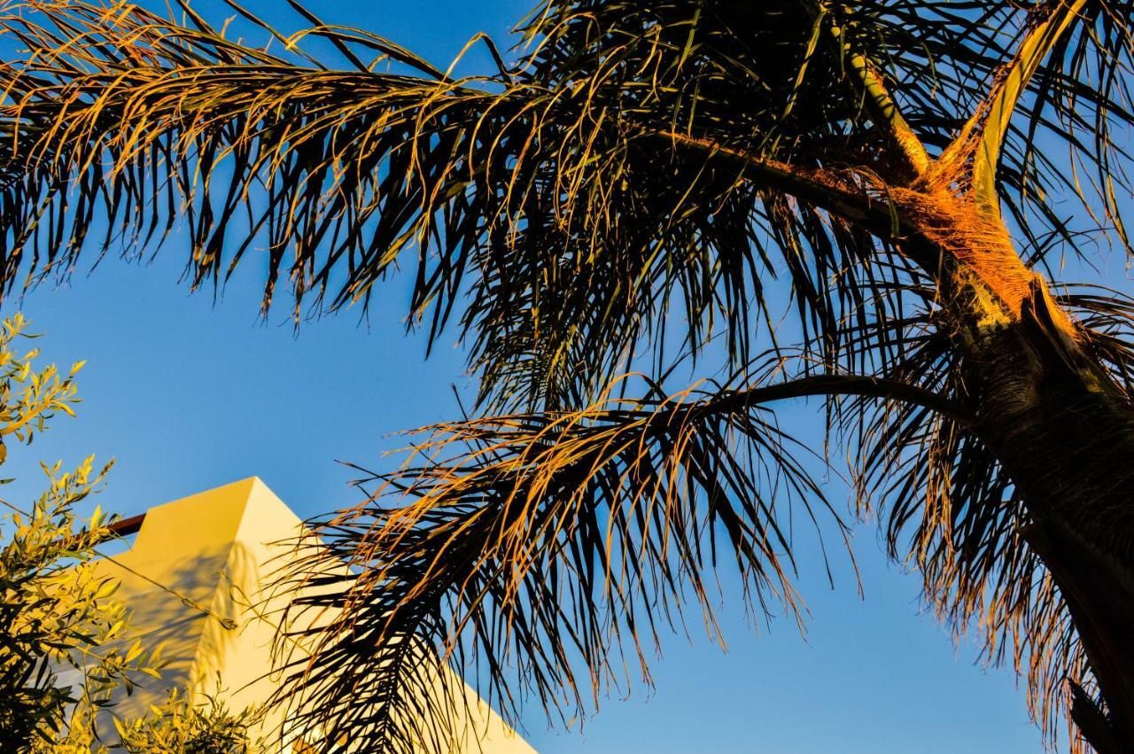 United Blue Resorts - White Sand Картерос Экстерьер фото